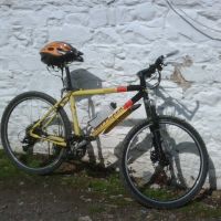 Profile photo for Reuben Davison