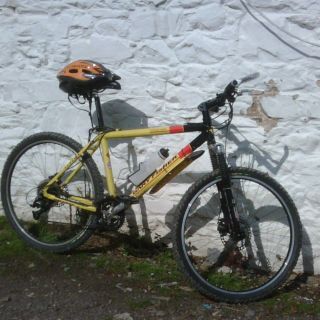 Profile photo for Reuben Davison