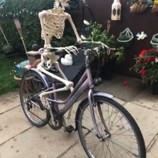 Profile photo for Pauline Burns