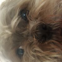 Profile photo for John Yenulevich