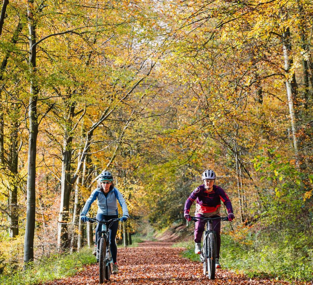 Let's Ride - Ride around Queen Elizabeth Country Park