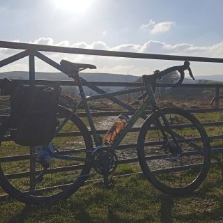 Profile photo for Robert Woodward-Massey