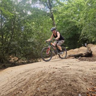 Profile photo for Lewis Collard