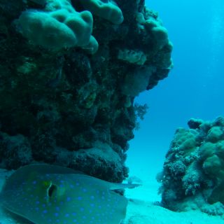 Profile photo for Katie Laming