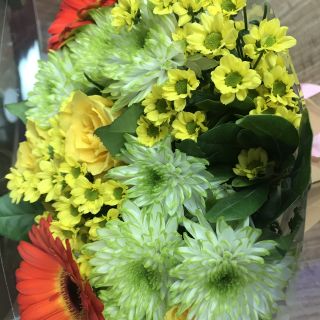 Profile photo for Amreena Mahmood 