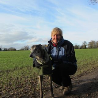 Profile photo for Alison Moseley