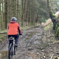 Profile photo for Sarah Doney