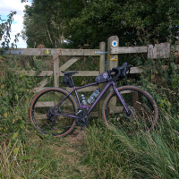 Profile photo for Katy Ashlee 