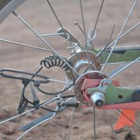 Profile photo for Josh Kerry