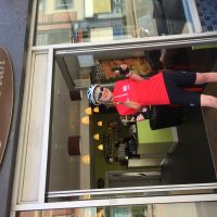 Profile photo for Lucy Haywood