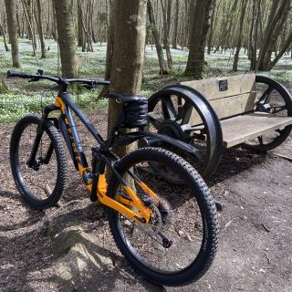 Profile photo for Kim Meadows