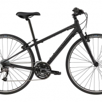 Profile photo for Carol Taylor