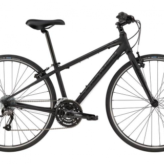 Profile photo for Carol Taylor