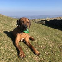 Profile photo for Michelle Ellams