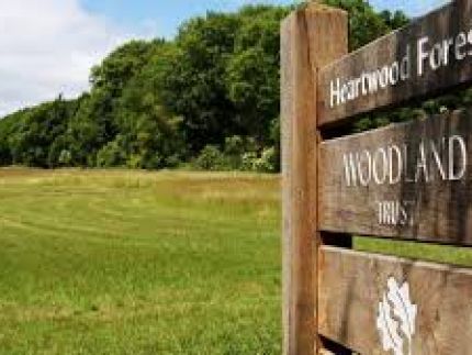 St Albans Cycle Hub - Heartwood Explorer