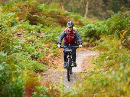 Single track riding online