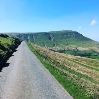 Profile photo for Tania Ryland