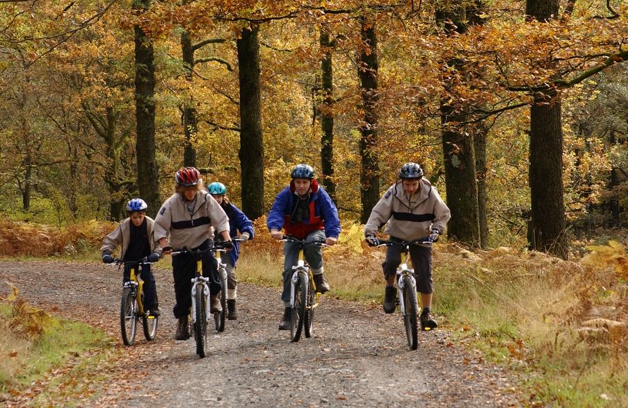 Shenfield cycles deals