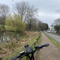 Profile photo for Zoie Zoie