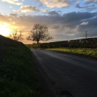 Profile photo for Cara Lia-Beech