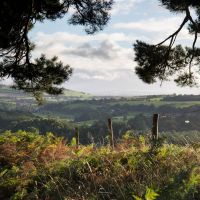 Profile photo for Ian Kellett