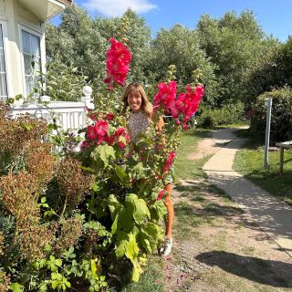 Profile photo for Julie Fieldhouse