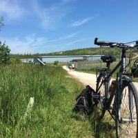 Profile photo for Dolly Sharif