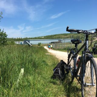 Profile photo for Dolly Sharif