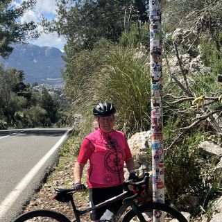 Profile photo for Sue Green