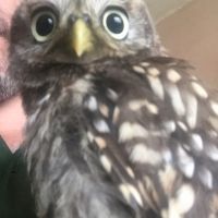 Profile photo for Ian Eskriett