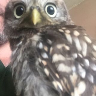 Profile photo for Ian Eskriett