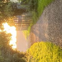 Profile photo for Rebekah  Stephens 