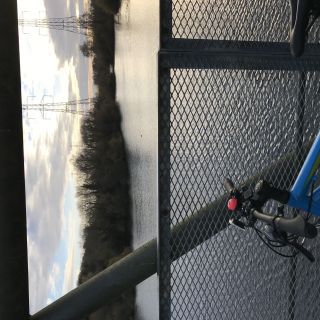 Profile photo for Lindsey Coulson