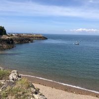 Profile photo for Sandi E