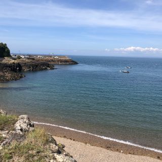 Profile photo for Sandi E