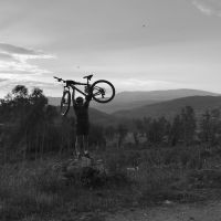 Profile photo for Alison Smith