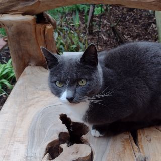 Profile photo for Jo Gibson