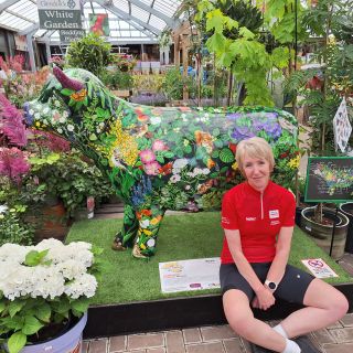 Profile photo for Janet Heggie