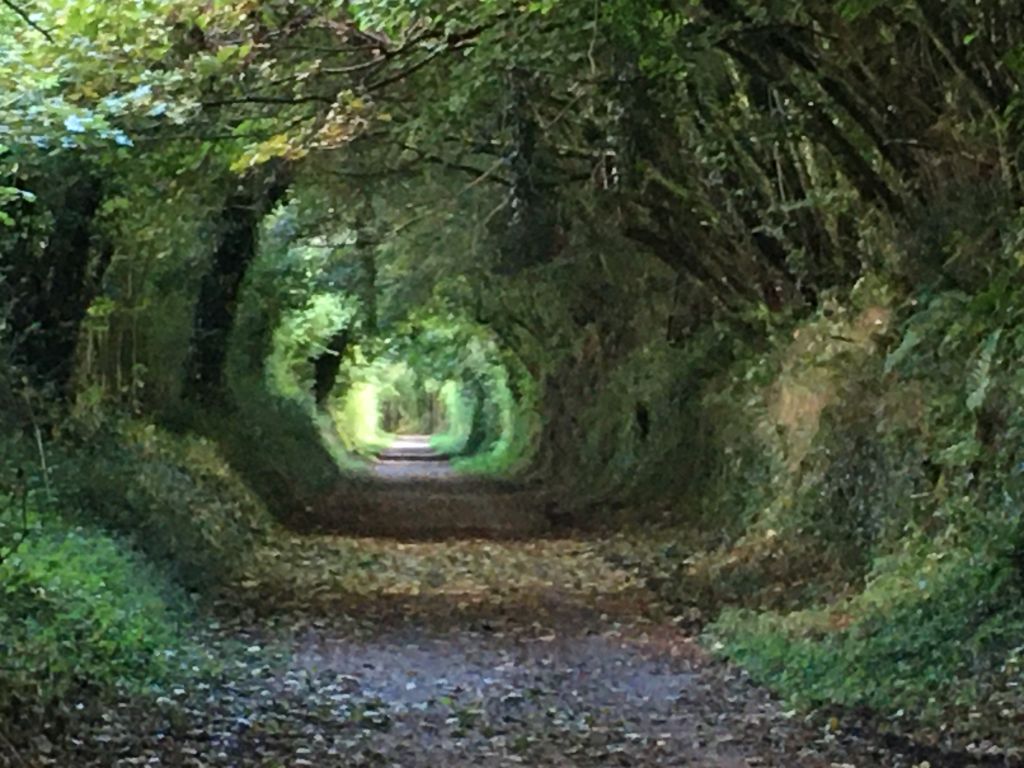 Let's Ride Easy Breezey along the Camel Trail to the Snails Pace Cafe