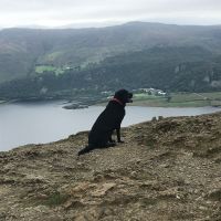 Profile photo for Ellen  Peet