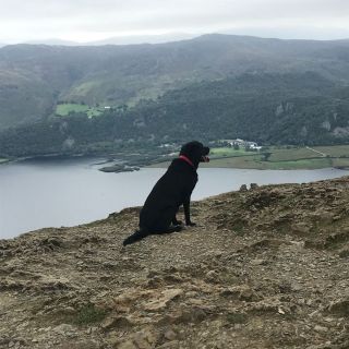 Profile photo for Ellen  Peet