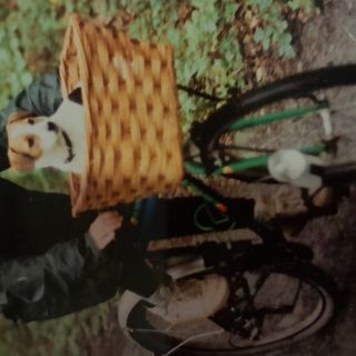 Profile photo for Glynne Miller