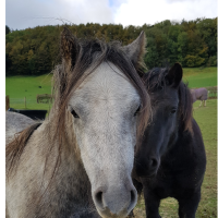 Profile photo for Hannah Hooper