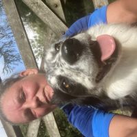 Profile photo for Kathleen Donnelly