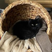 Profile photo for Sue Ross