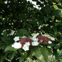 Profile photo for Clare Hancock