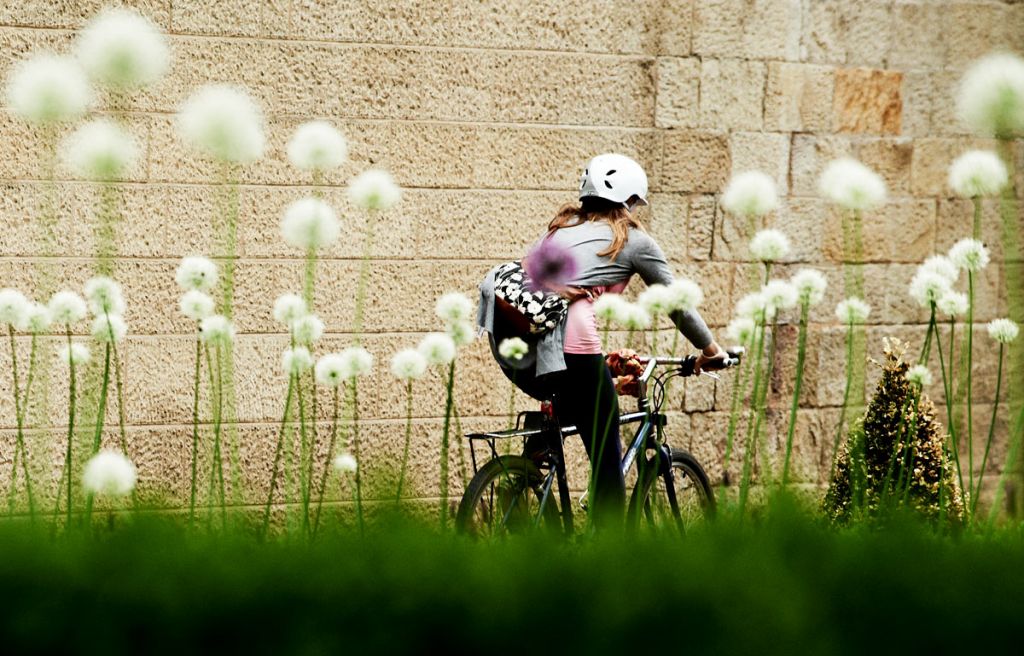 Low impact best sale bicycle