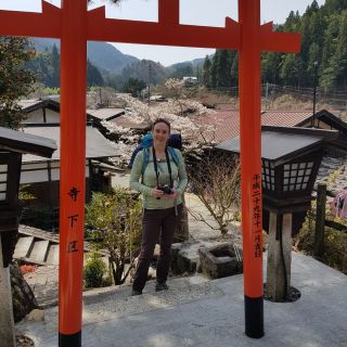 Profile photo for Mel Whitmore