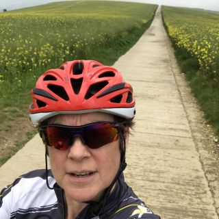 Profile photo for Wendy Harman