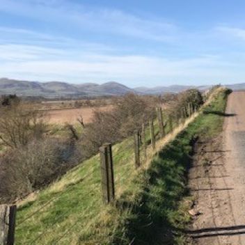 Photo for Cheviot Chain Chicks Breeze